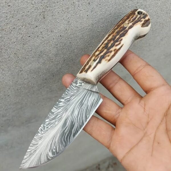 Classic Damascus Skinner — Authentic Stag Handle Hunting Knife